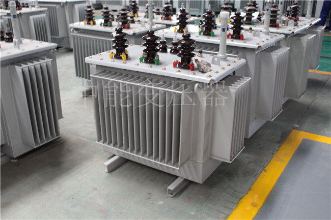 邯郸S22-100KVA/10KV/0.4KV变压器